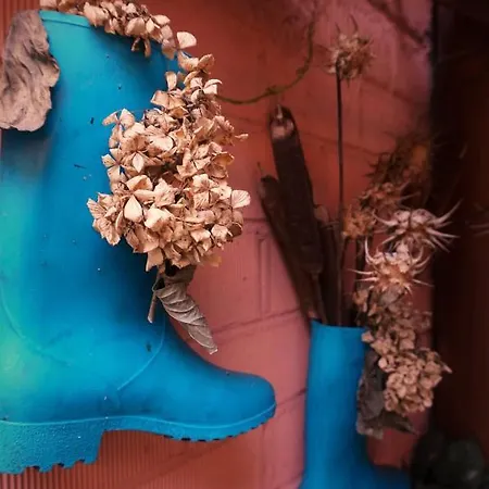 Tatil Evi La Alquitara Masueco