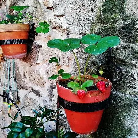 La Alquitara * Masueco